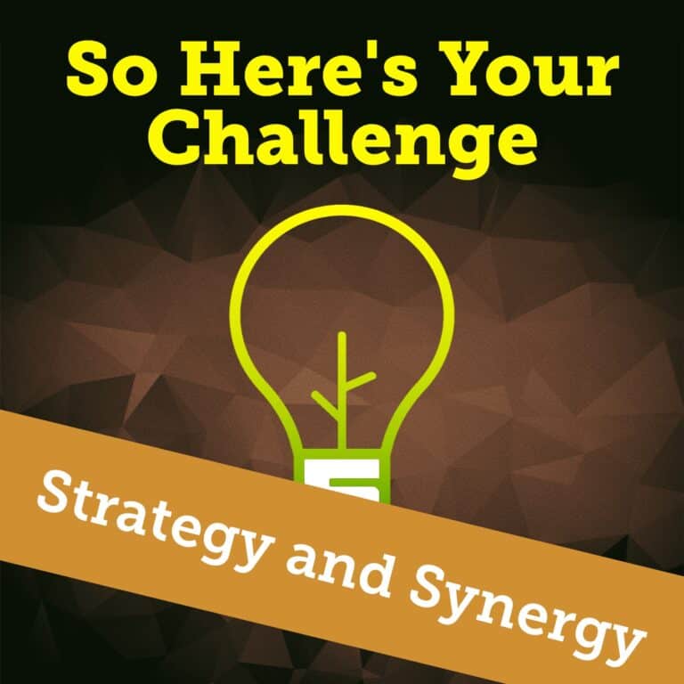 Strategy and Synergy